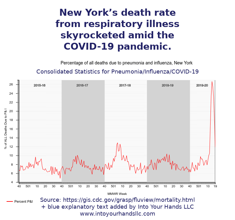 pic19 death rate ny